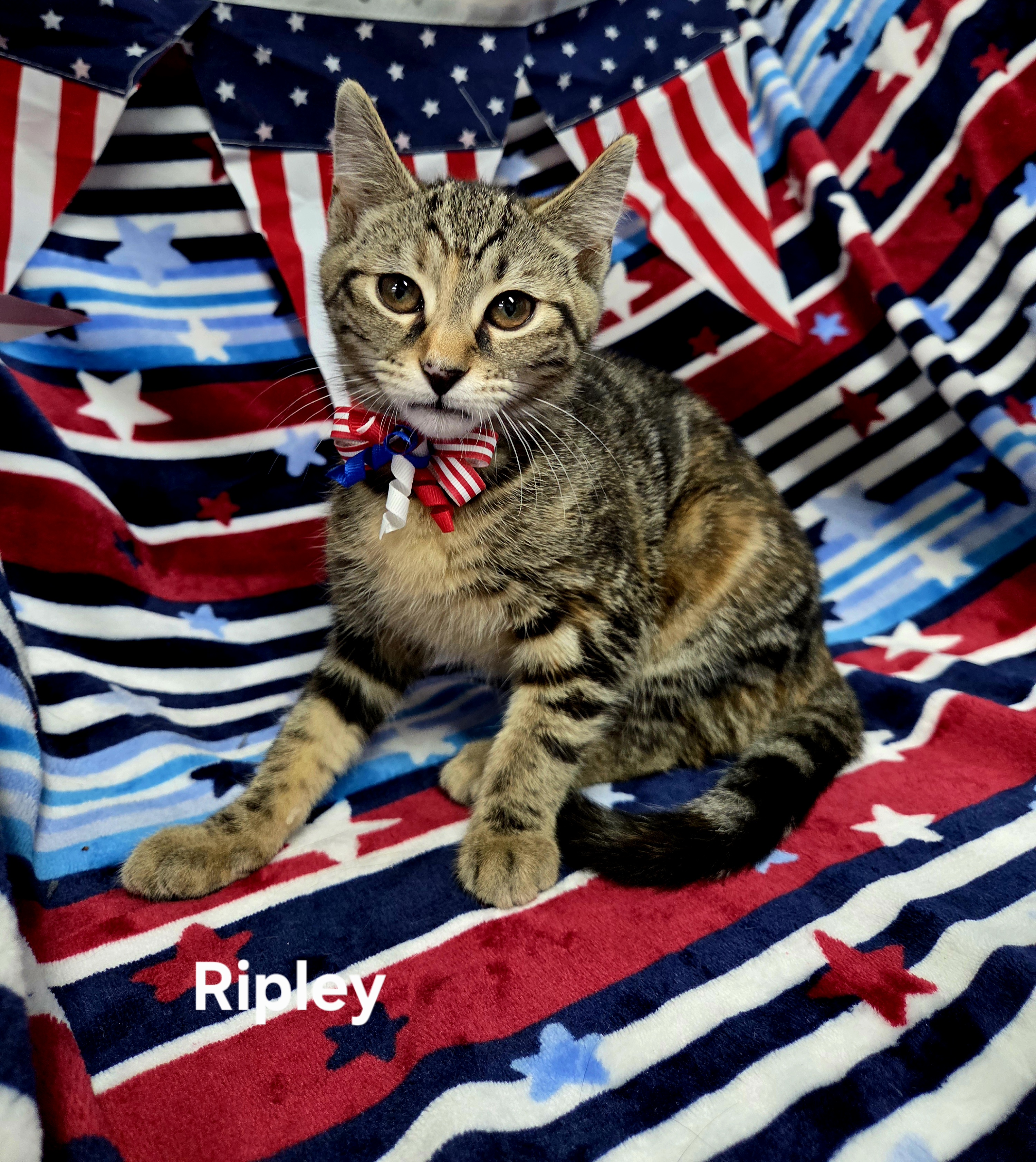 Ripley